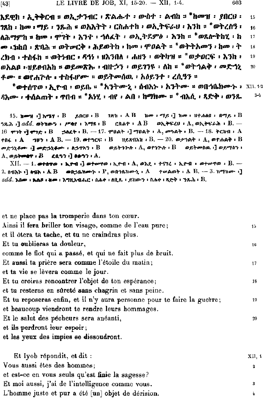 ዘኢዮብ 12