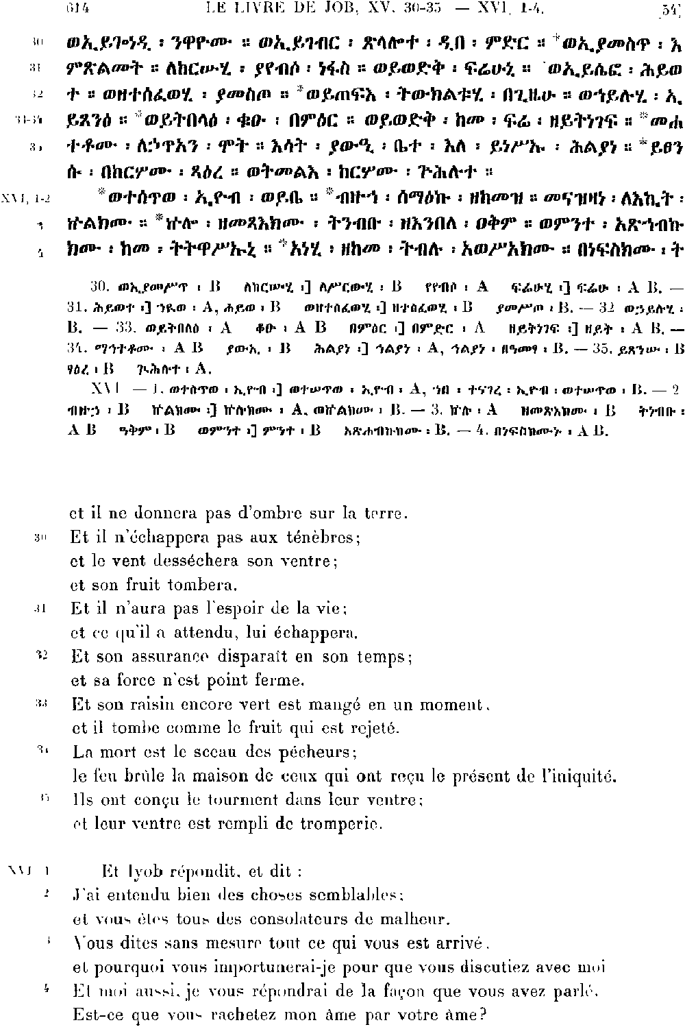 ዘኢዮብ 16