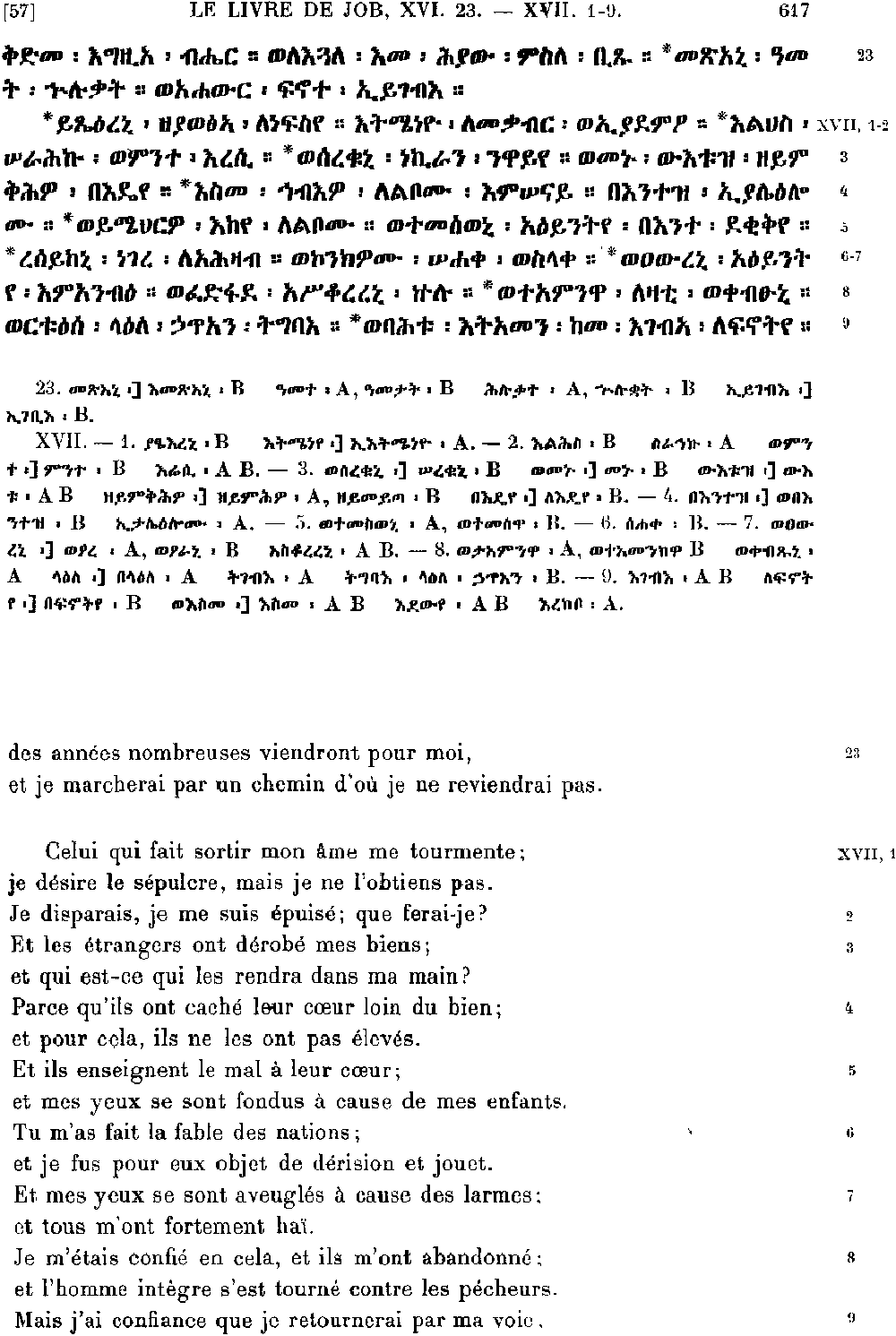 ዘኢዮብ 17