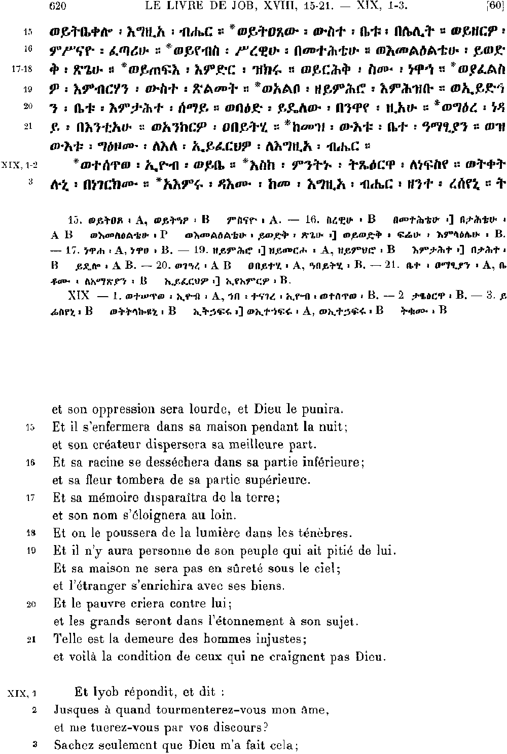 ዘኢዮብ 19