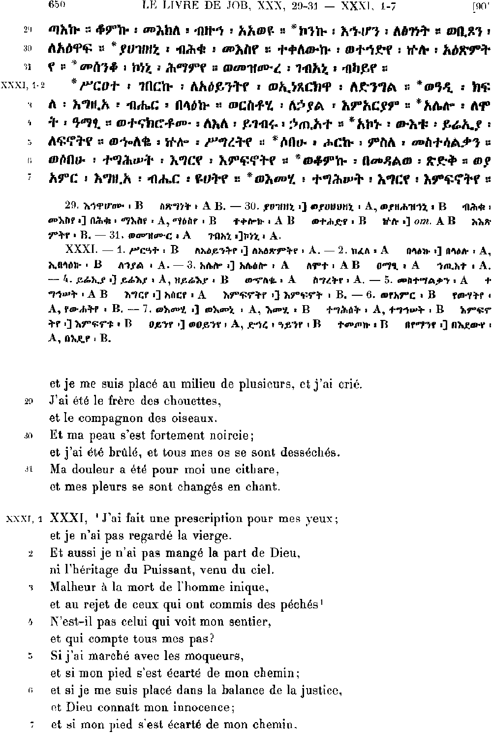 ዘኢዮብ 31