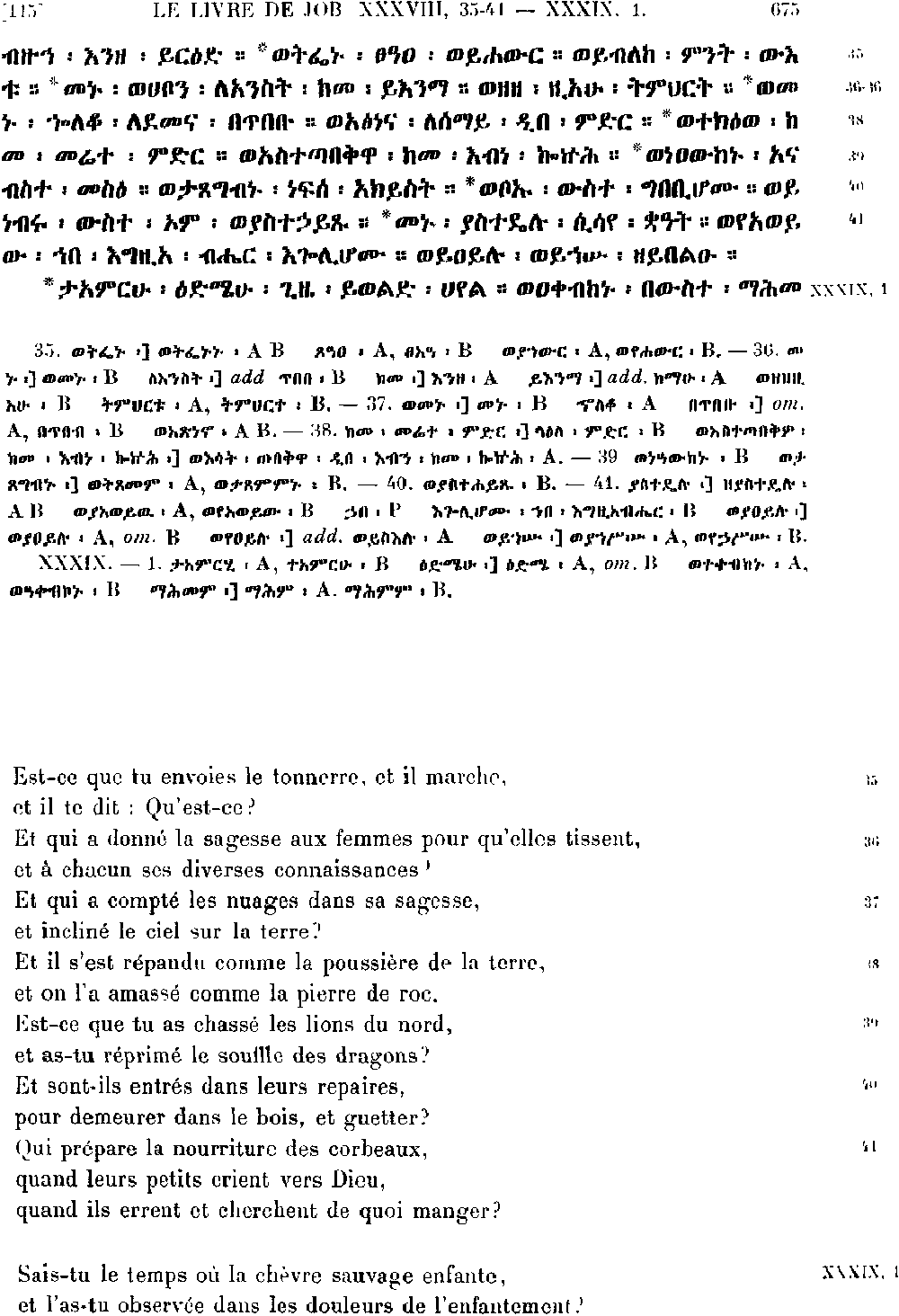 ዘኢዮብ 39