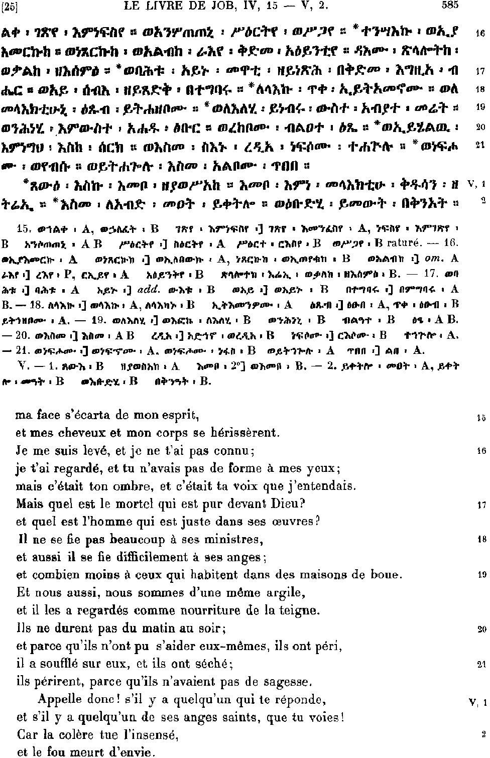 ዘኢዮብ 5